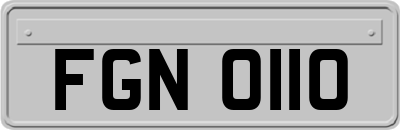FGN0110
