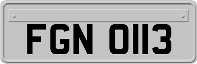 FGN0113