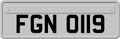 FGN0119