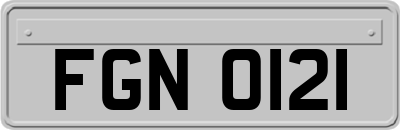 FGN0121