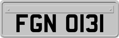 FGN0131