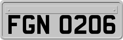 FGN0206