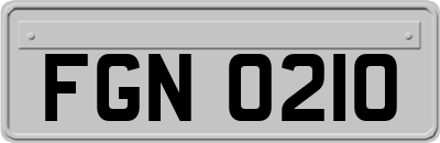 FGN0210