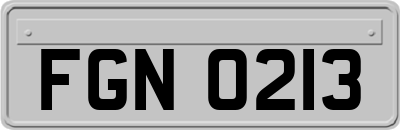 FGN0213