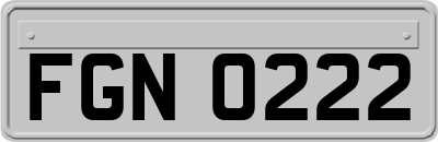 FGN0222
