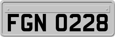 FGN0228