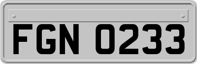FGN0233