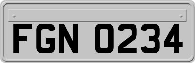 FGN0234
