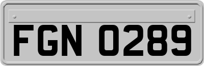 FGN0289