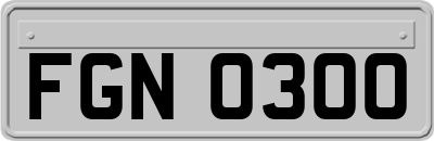 FGN0300