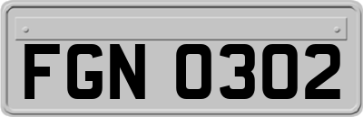 FGN0302