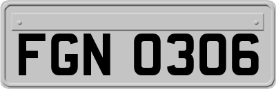 FGN0306