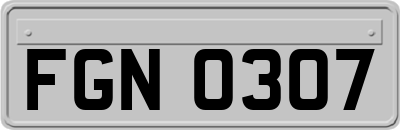 FGN0307