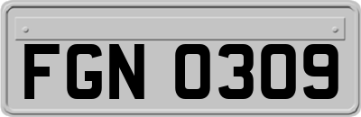 FGN0309