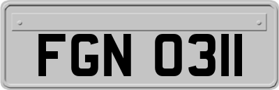 FGN0311