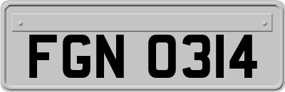 FGN0314