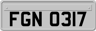 FGN0317