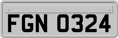 FGN0324