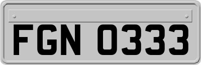 FGN0333
