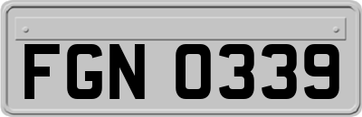 FGN0339