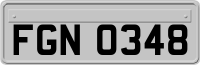 FGN0348