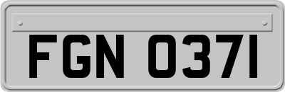 FGN0371