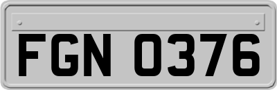 FGN0376