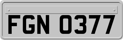 FGN0377