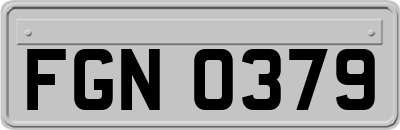 FGN0379