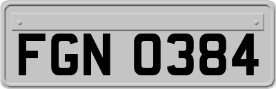 FGN0384