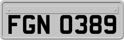 FGN0389