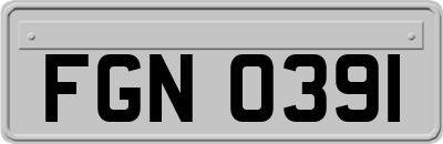 FGN0391