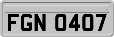 FGN0407