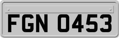 FGN0453