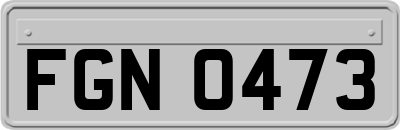 FGN0473
