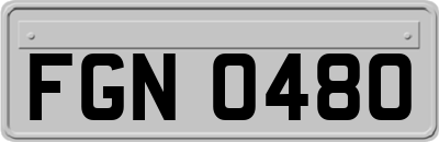 FGN0480