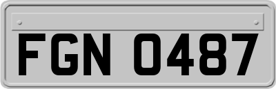 FGN0487