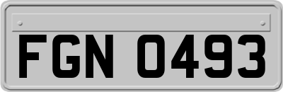 FGN0493