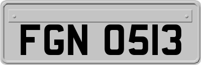 FGN0513