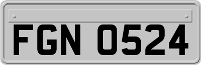 FGN0524