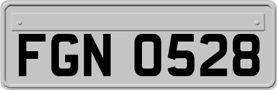 FGN0528