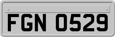 FGN0529