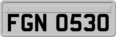FGN0530