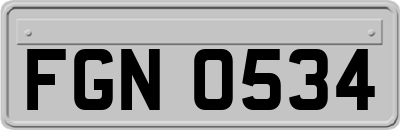 FGN0534
