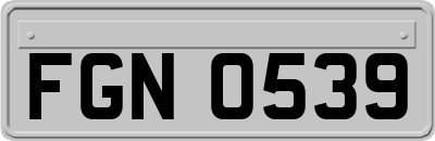 FGN0539