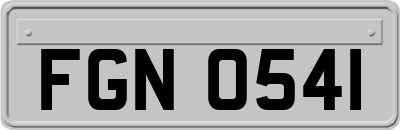 FGN0541
