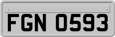 FGN0593