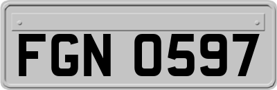 FGN0597