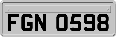FGN0598