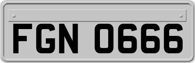 FGN0666